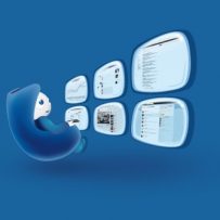 Youseemii : Les avantages pour connaitre votre visibilité sur internet