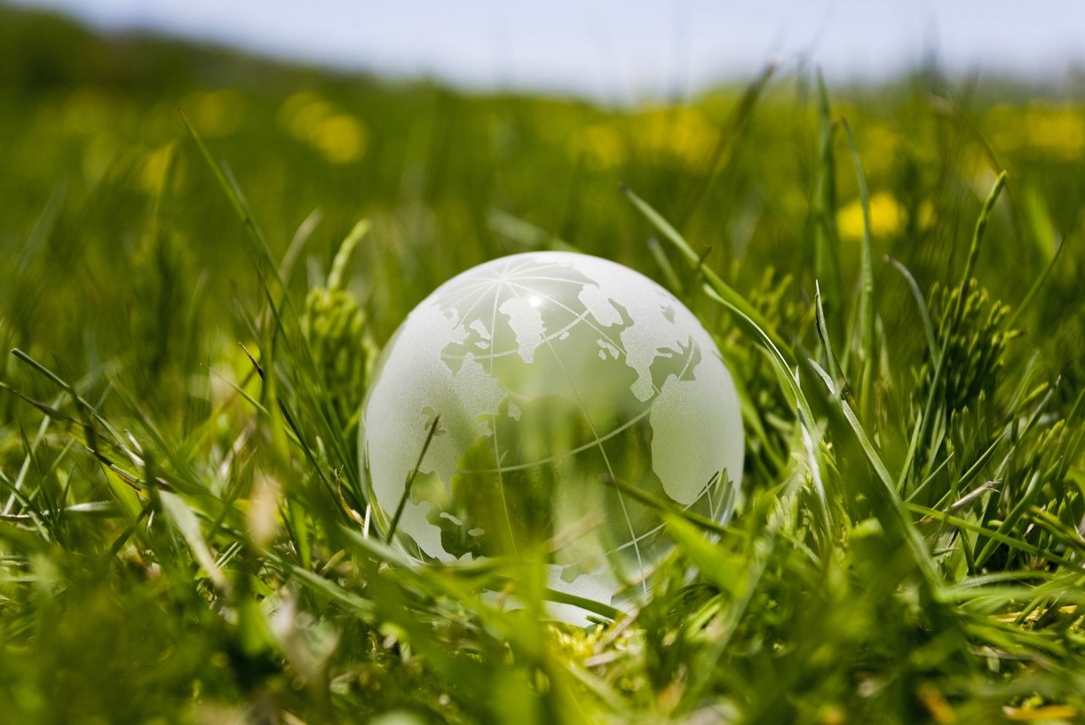 Comment les entreprises peuvent améliorer leurs responsabilités environnementales ?