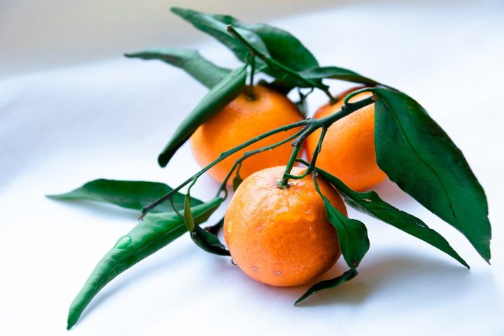 Comment gérer l’achat de presse agrumes pour professionnels?