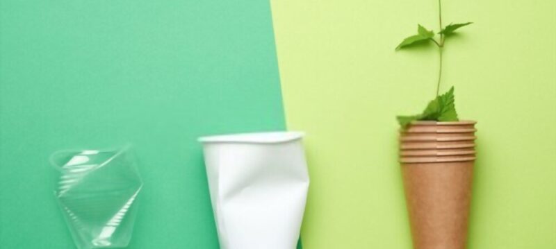 Gobelet carton