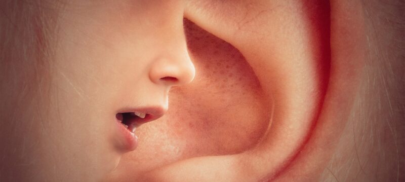 Le bouche a oreille