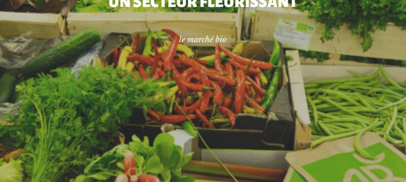 etagere produit bio