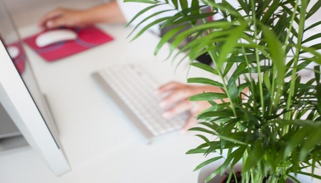 formation télétravail
