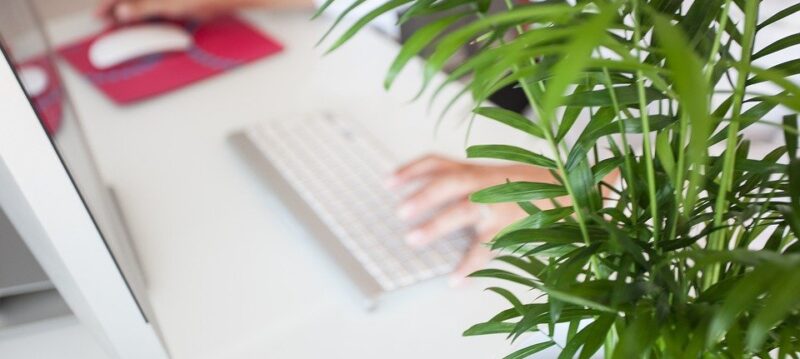 formation télétravail