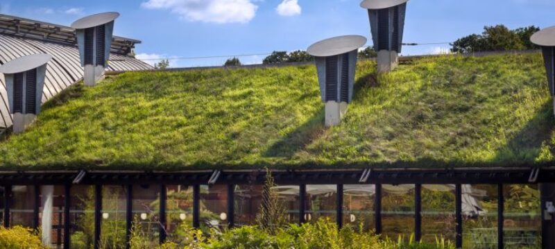 Pourquoi_faire_une_toiture_vegetalisee_pour_ses_locaux_ Pourquoi_faire_une_toiture_vegetalisee_pour_ses_locaux_