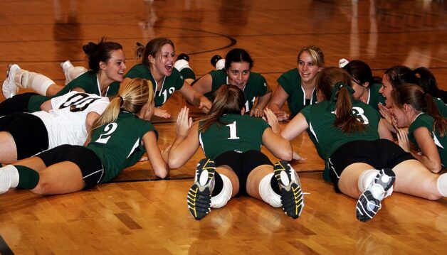 volleyball-team-1583668_1280