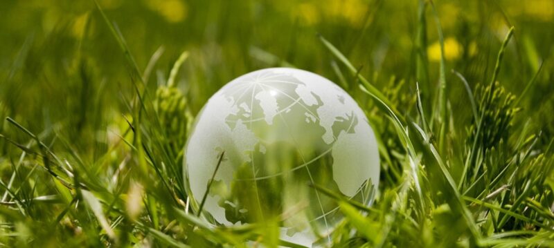 Durabilité chez Frankel