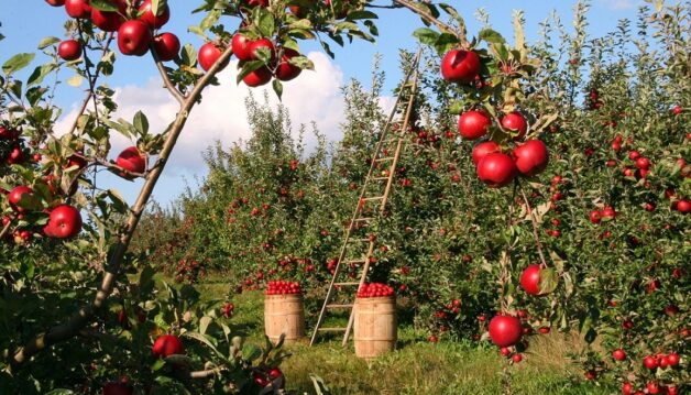 blockchain alimentaire 