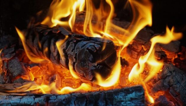 Voici_comment_créer_son_entreprise_de_bois_de_chauffage