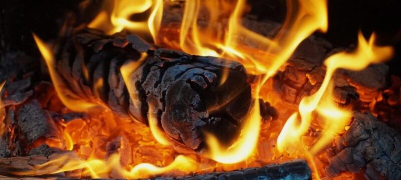 Voici_comment_créer_son_entreprise_de_bois_de_chauffage