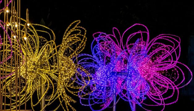 Productivité_et_efficacité_énergétique_avec_l’éclairage_LED