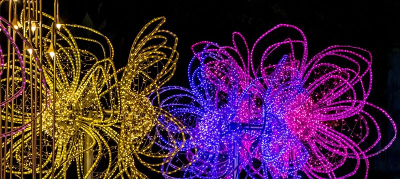 Productivité_et_efficacité_énergétique_avec_l’éclairage_LED