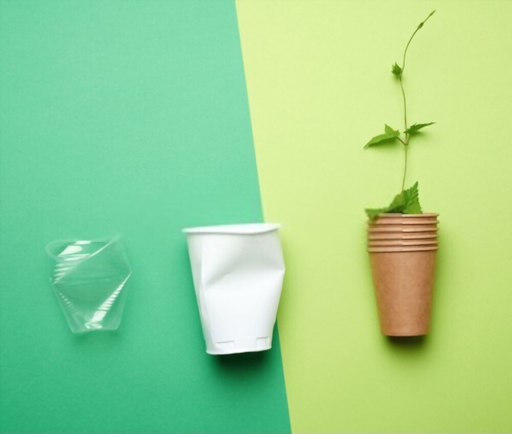 Gobelet en carton : l’alternative écologique pour remplacer le plastique