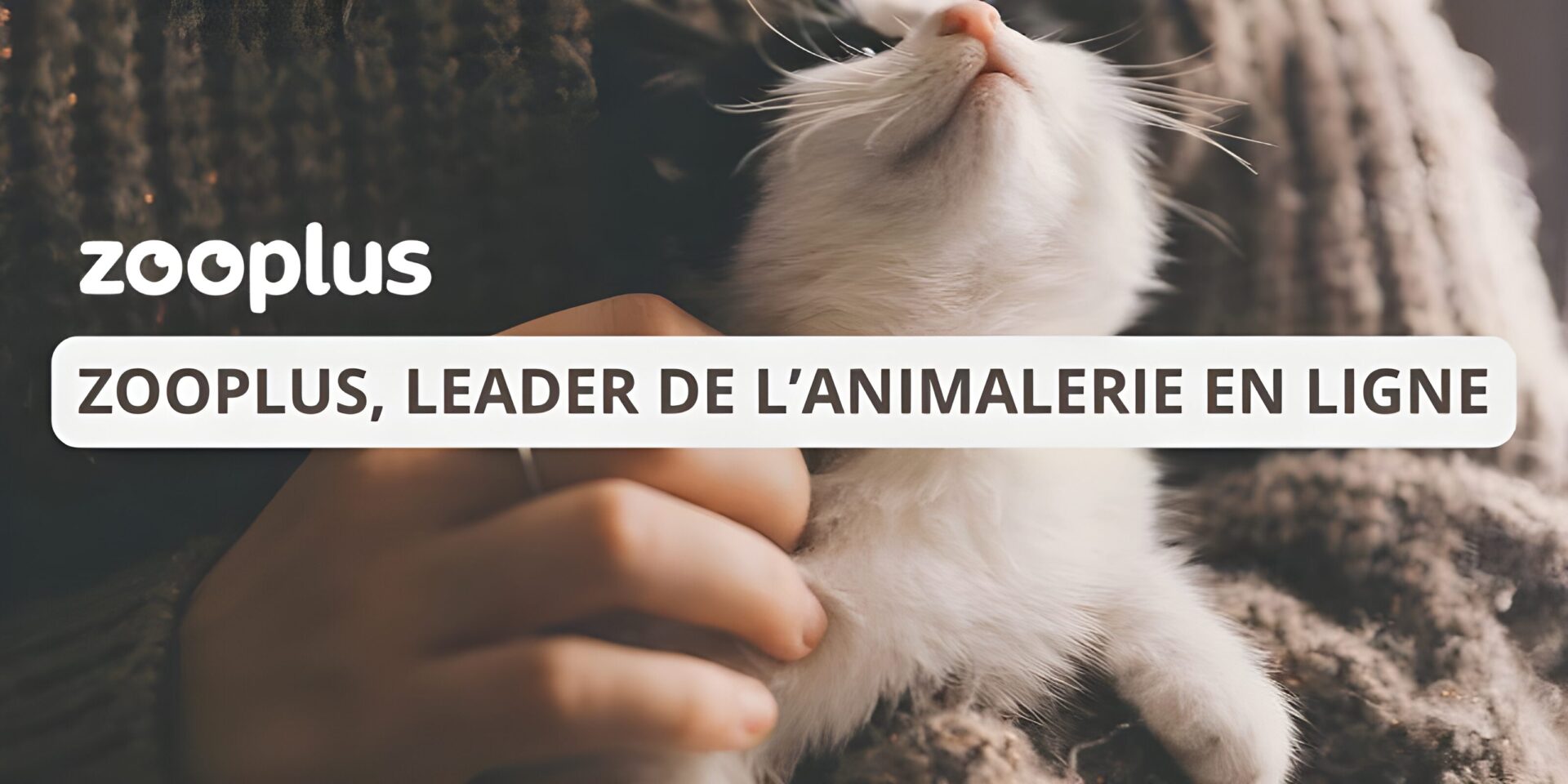 Zooplus, leader de l’animalerie en ligne