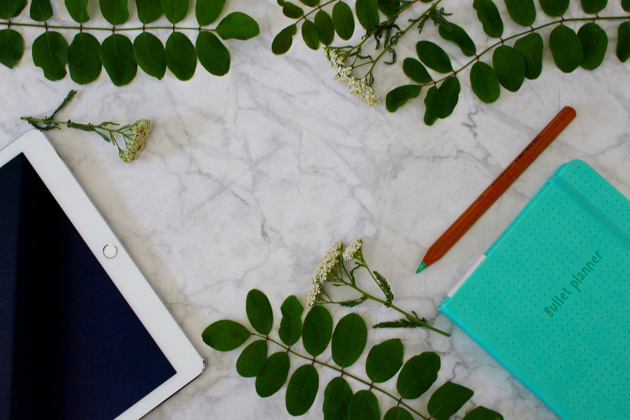 Digitalisation : quels sont les services offerts par une agence web ?