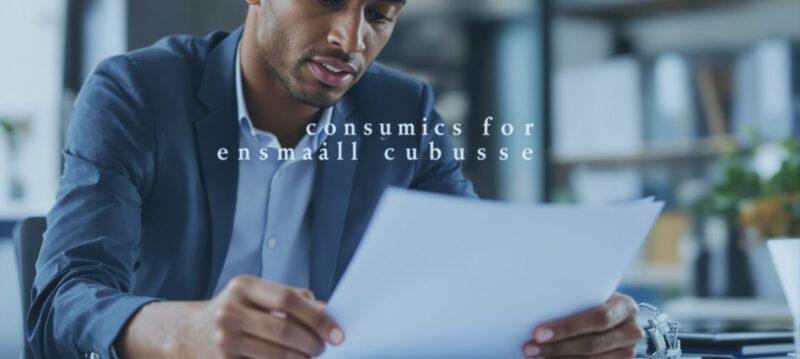 Cmocean_:_la_solution_bancaire_adaptée_aux_besoins_des_petites_entreprises cmocean