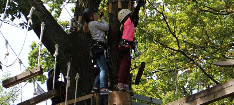 Se_lancer_dans_un_projet_entrepreneuriat_de_construction_de_parc_d’aventure