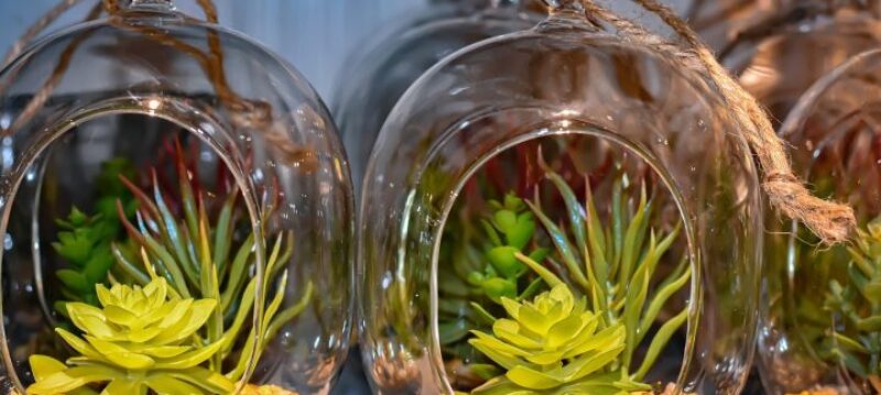 Plantes_artificielles:_Pourquoi_les_installer_dans_vos_locaux_professionnels?