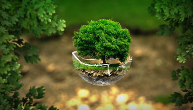 Le_critère_environnemental,_un_critère_de_plus_en_plus_favorisé_dans_les_marchés_publics