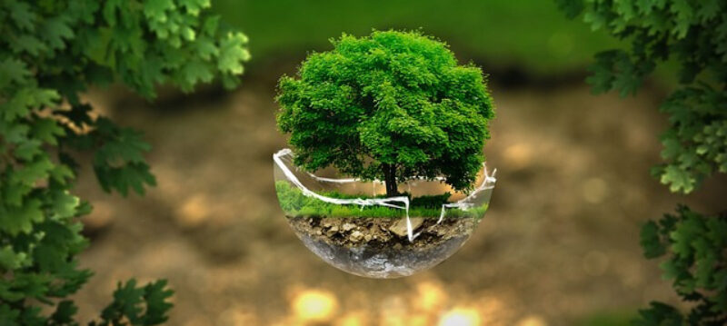 Le_critère_environnemental,_un_critère_de_plus_en_plus_favorisé_dans_les_marchés_publics