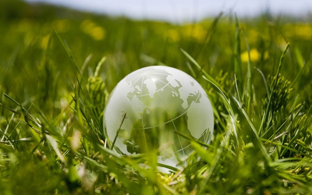 Comment les entreprises peuvent améliorer leurs responsabilités environnementales ?