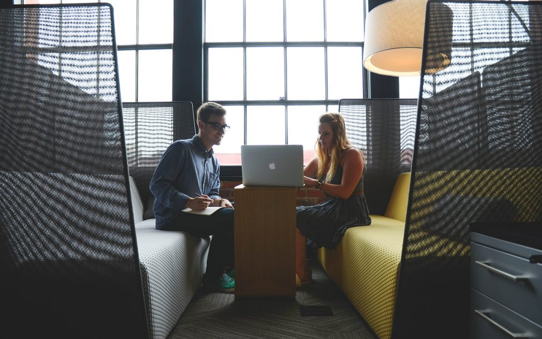 Pépinière d entreprise ou incubateur : Avantages et Utilité