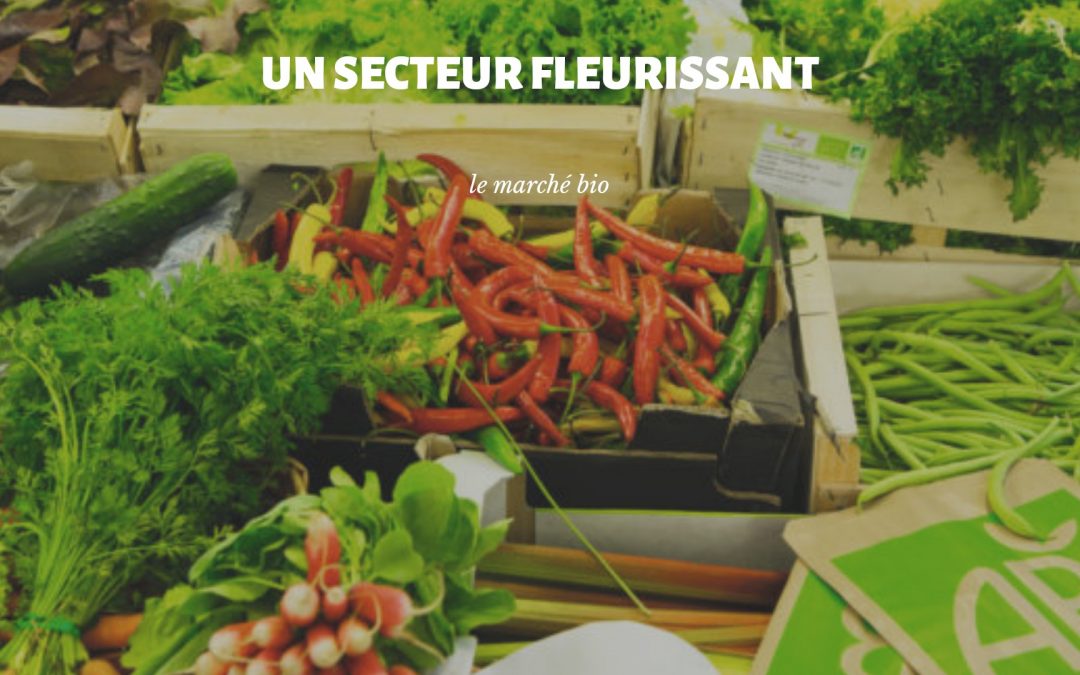 Consommer d’une manière saine et responsable avec le marché bio