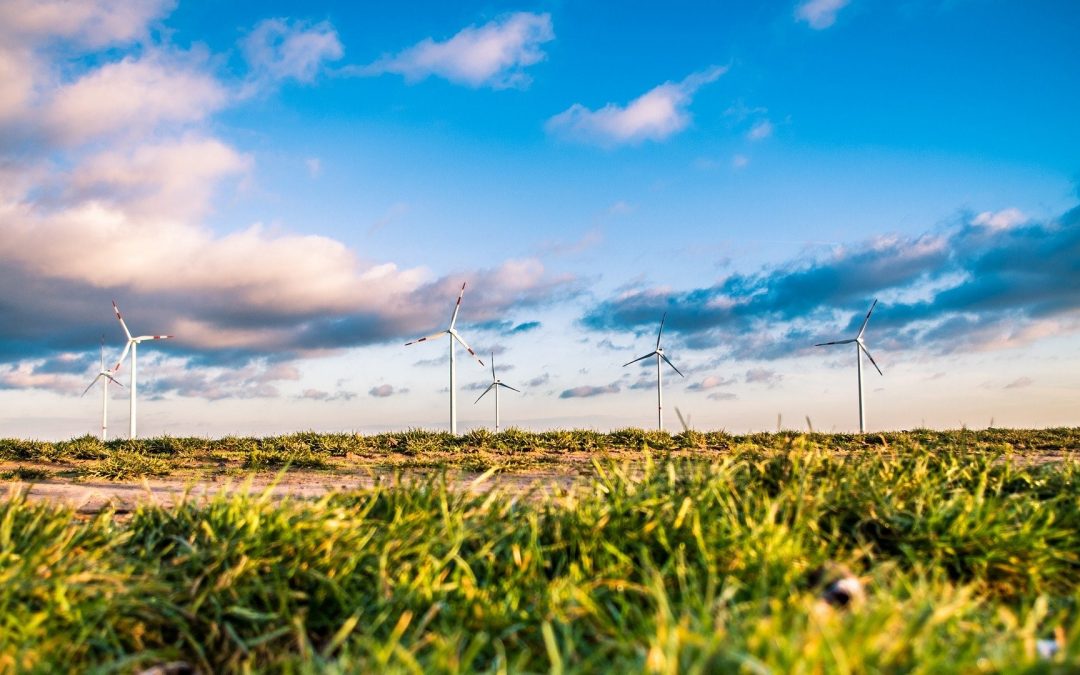 Les business des fournisseurs d’énergie qui ciblent les entreprises